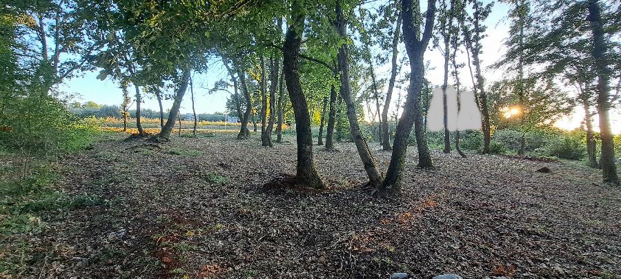 ISTRIEN, Brtonigla, zu verkaufen ein Baugrundstück von 1000 m2, - BRTONIGLA, Brtonigla - Sika 3
