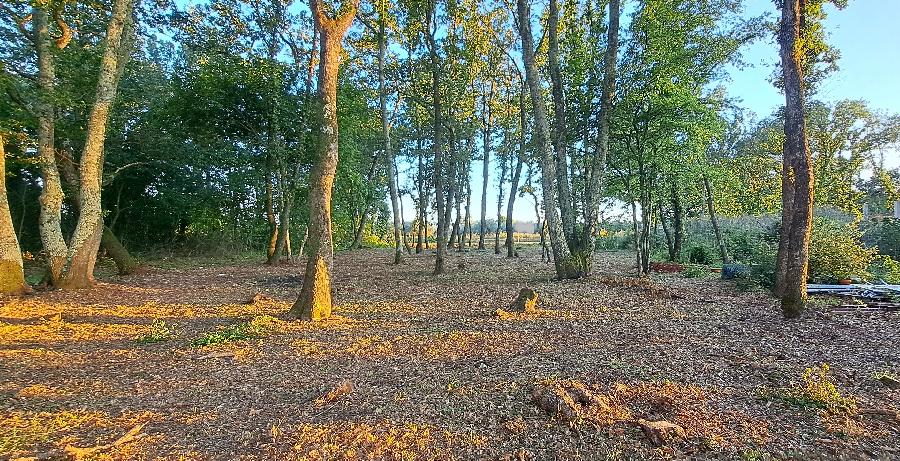 ISTRIEN, Brtonigla, zu verkaufen ein Baugrundstück von 1000 m2, - BRTONIGLA, Brtonigla - Sika 7